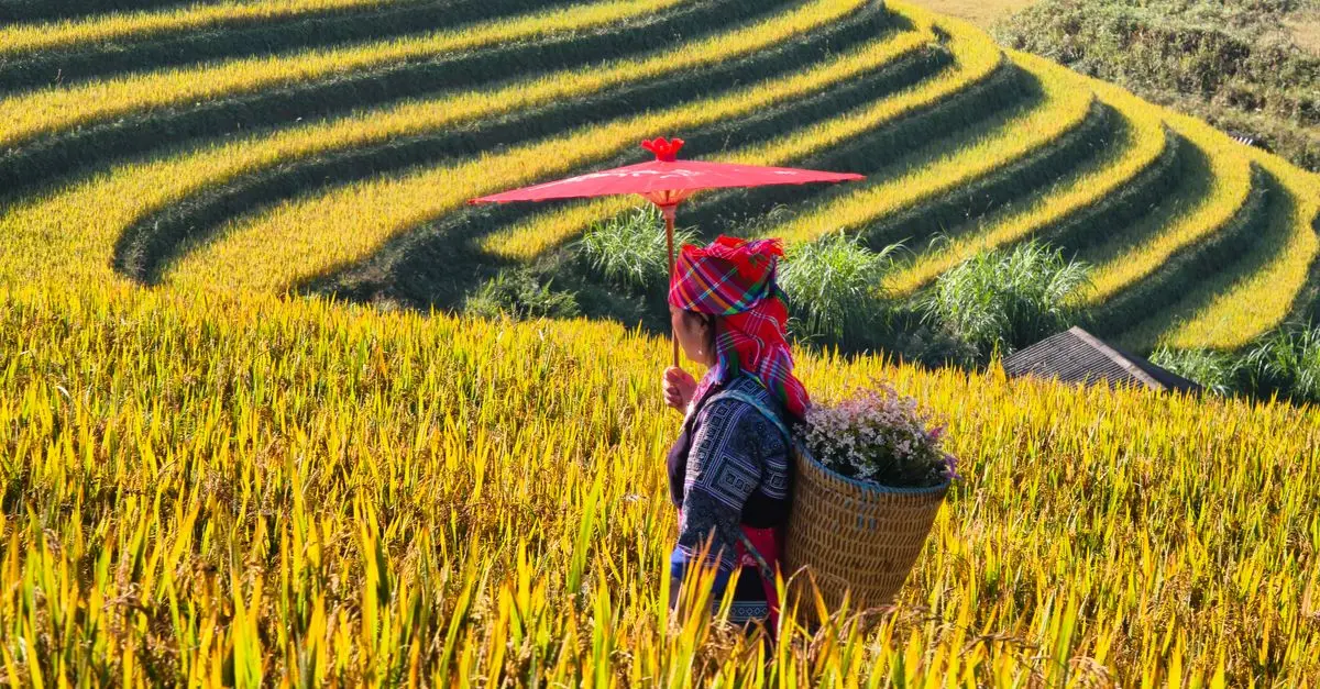 How to Travel Responsibly: Essential Tips for Modern Explorers