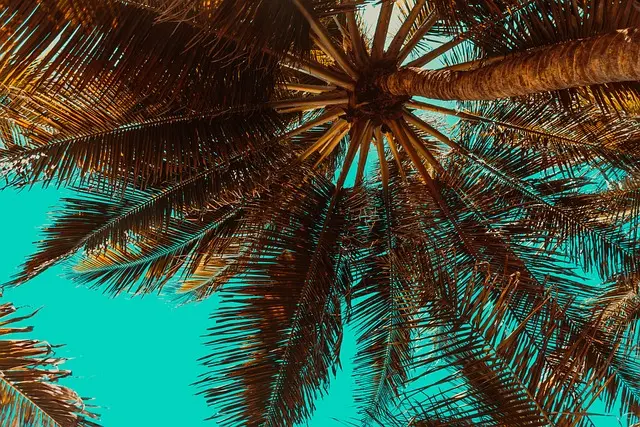 Comment vivre des vacances inoubliables sans stress