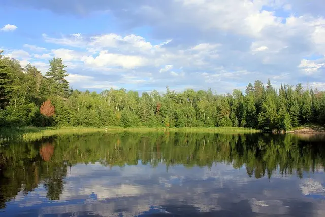 Les erreurs courantes des voyageurs connectés et comment les éviter