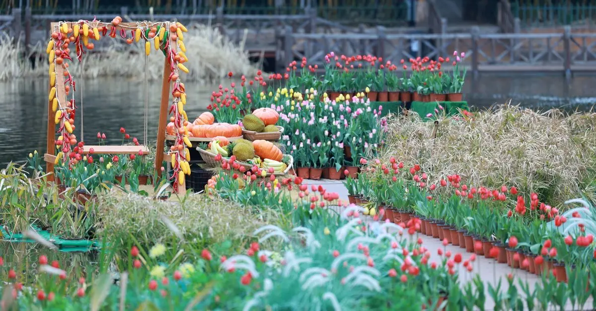 Les Meilleures Pratiques pour Entretenir Votre Jardin en Été