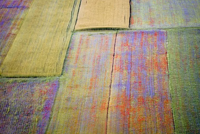 Come abbinare i colori per un look elegante e sofisticato