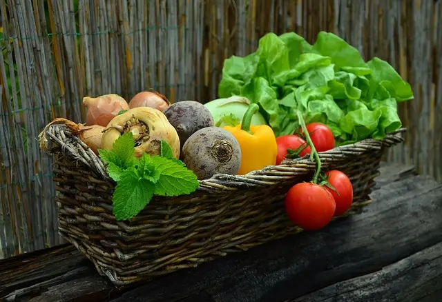 Les Meilleures Méthodes pour Évaluer la Fraîcheur de Votre Panier de Légumes