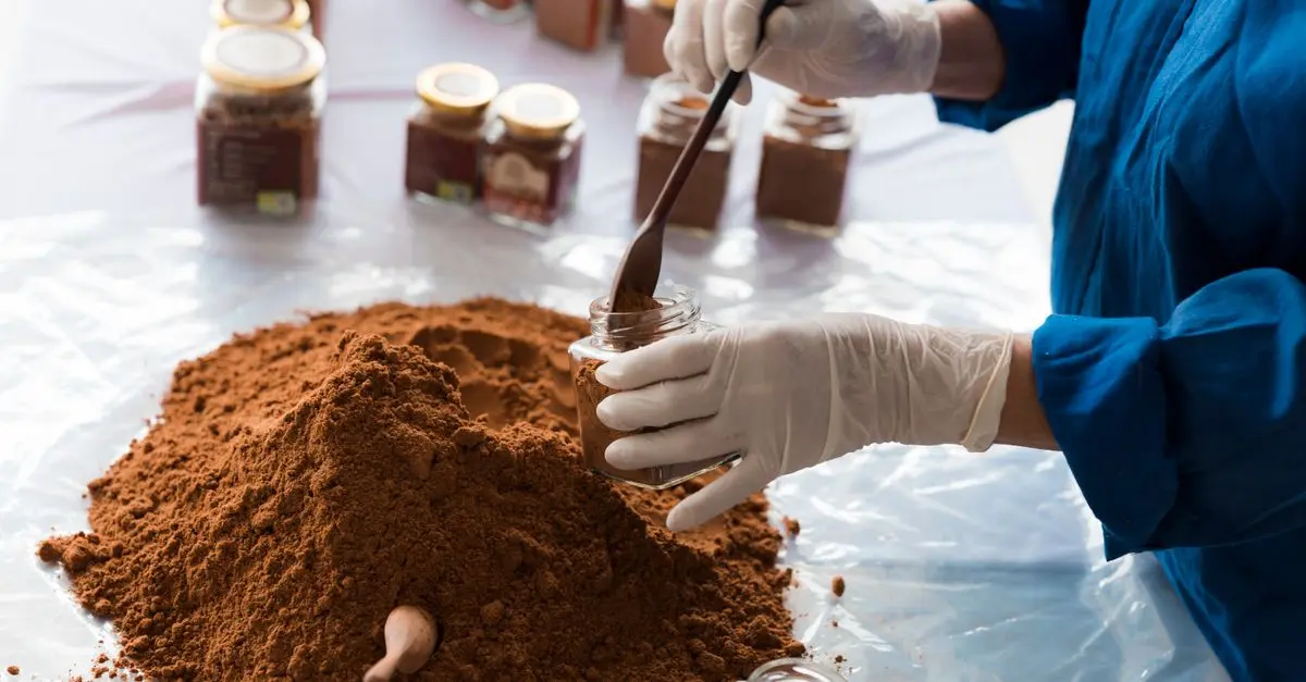 Les Meilleures Épices pour Élever Vos Gâteaux Maison