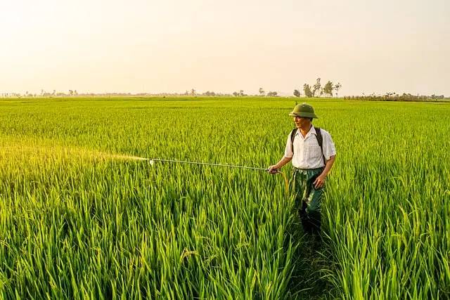 Comment bien entretenir vos outils de ferme pour les garder efficaces