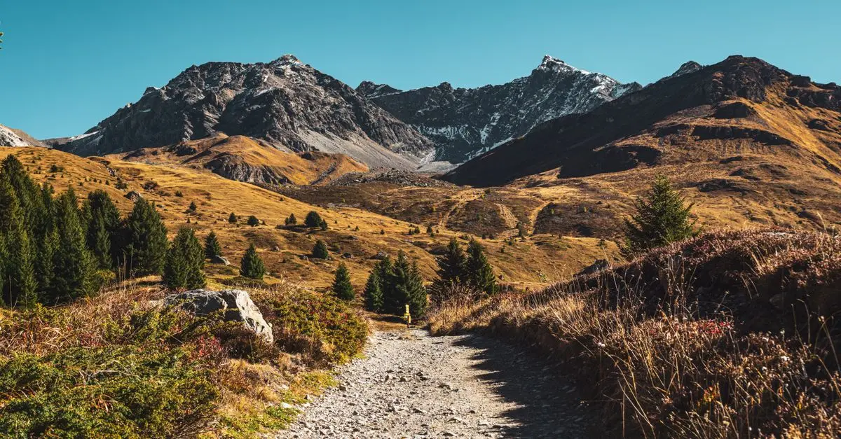 Comment Choisir la Meilleure Destination pour Vos Expéditions Nature