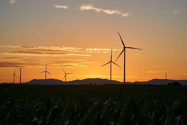 Les stratégies gagnantes pour un avenir écologique