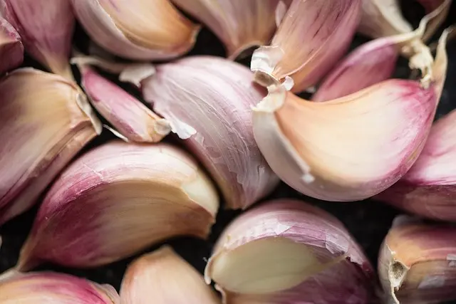 Les arômes typiques de la cuisine provençale à découvrir