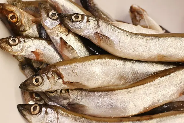 Les 10 recettes de poisson frais incontournables à essayer