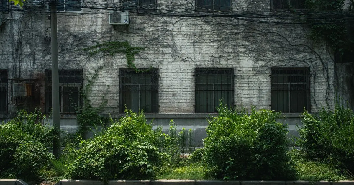 Les tendances d'exploration urbaine à suivre