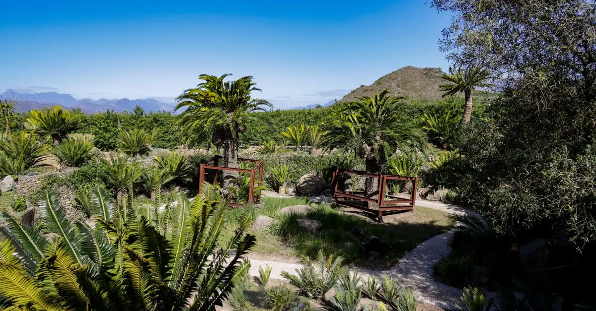 Comment créer un jardin écologique et attractif