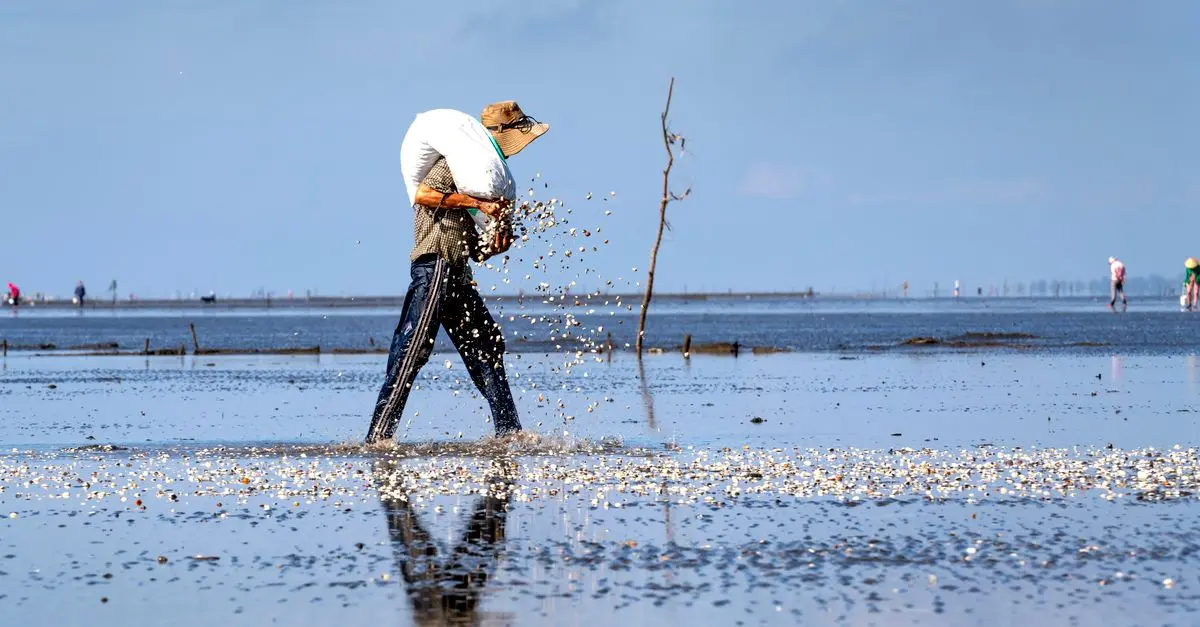 Les Secrets de la Pêche à Pied en Bretagne : Techniques et Conseils