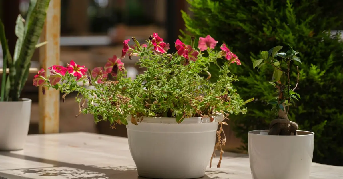 10 Astuces Pratiques pour Décorer Votre Jardin avec des Fleurs