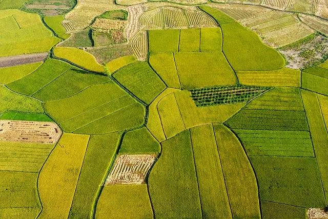 Les Avantages d'un Semoir Agricole Écologique