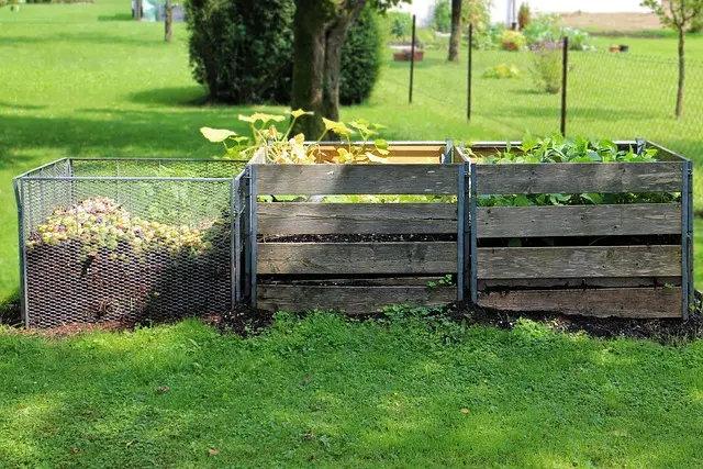 10 Conseils Écologiques pour un Jardinage Durable