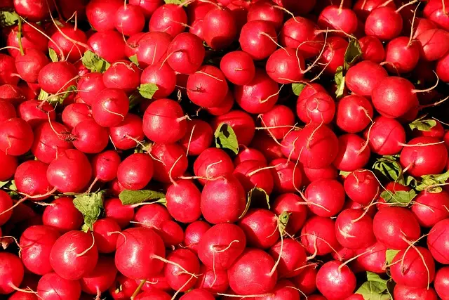 Savourez l'automne avec la soupe de courge locale