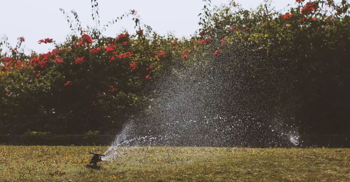Les erreurs à éviter lors du choix de votre système d'irrigation