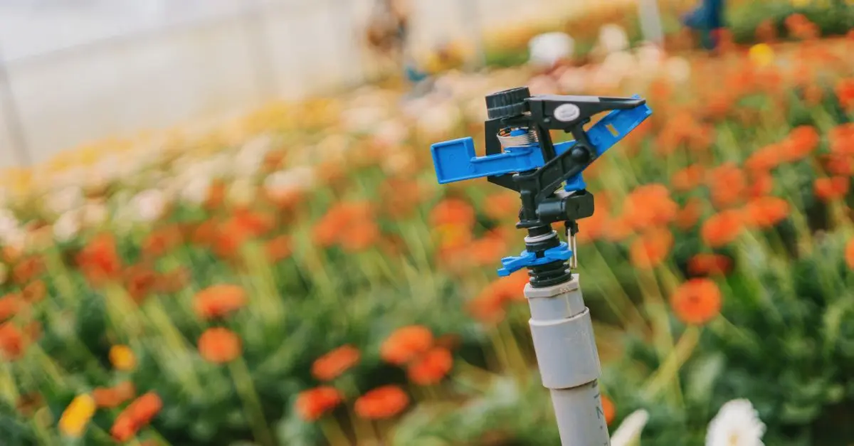 Système d'Irrigation Automatique : Avantages et Inconvénients