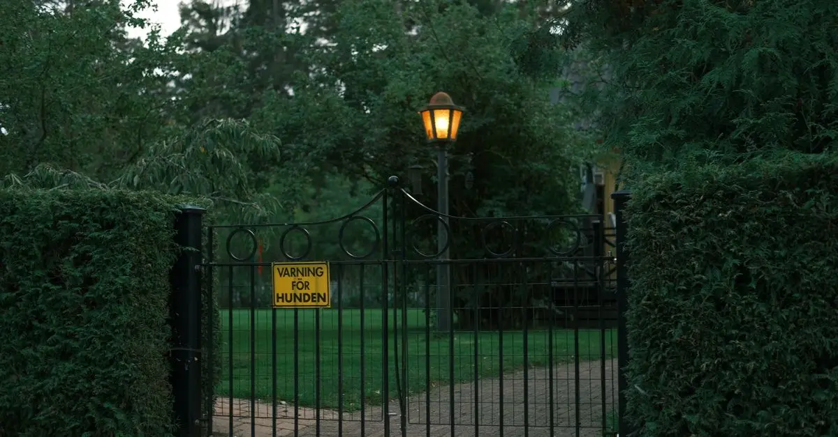 Miglior Sistema di Sicurezza per Giardino