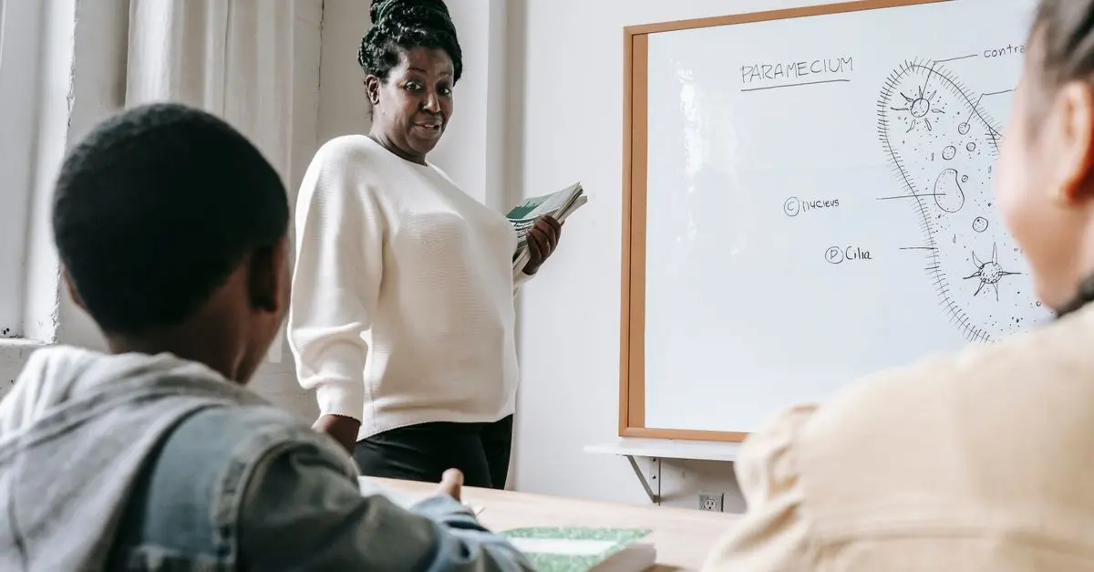 How to Pursue Interdisciplinary Science During Your Studies
