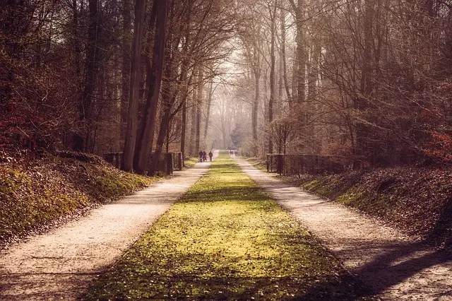 Les nouvelles tendances d'exploration en pleine nature