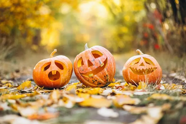 Comment choisir la citrouille parfaite pour Halloween
