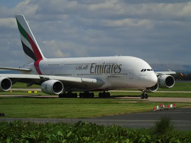 Comparing Top Budget Airlines for Cheap Travel Offers