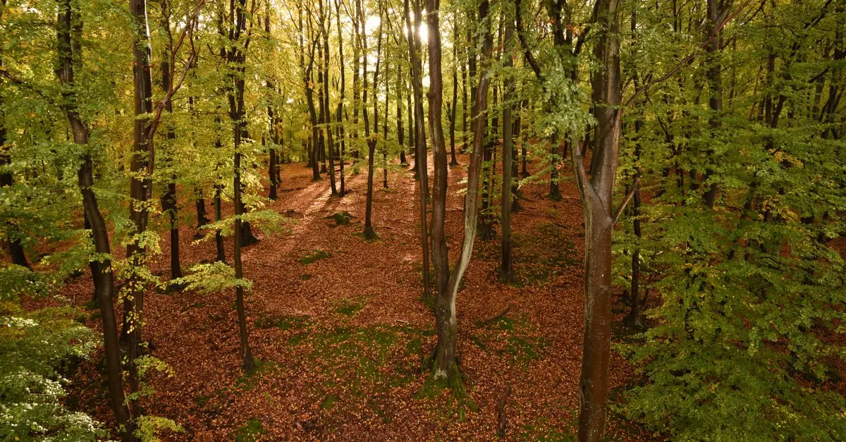 Unique Leisure Activities to Try in the UK This Year