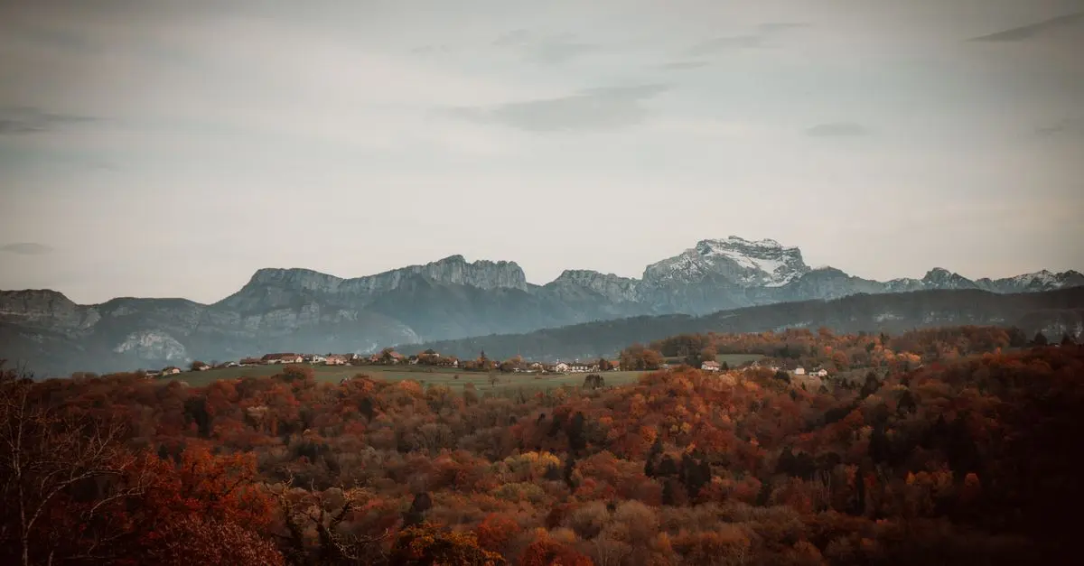 Les meilleures façons d'explorer la nature en Belgique