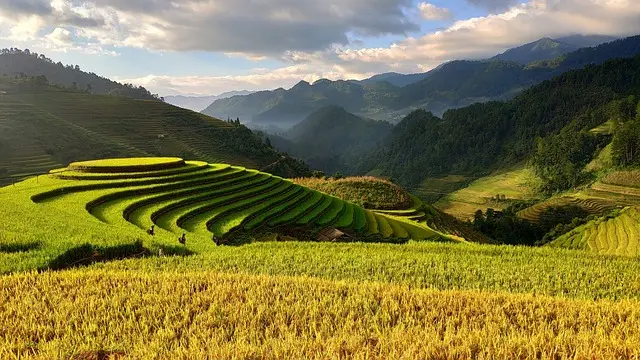 5 conseils pour bien choisir votre remorque agricole