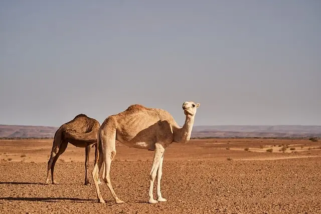 Nachhaltige Reiseziele für Abenteurer: 10 Geheimtipps