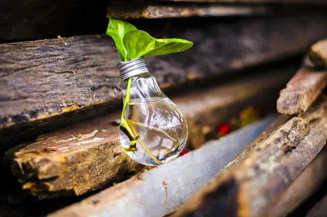 10 Idee Fai da Te Sostenibili per Rinnovare il Tuo Spazio